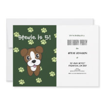 キュートすごいグリーンボクサー子犬誕生日