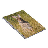 キュートで好奇心に満ちたイースタンコットンテールウサギ ノートブック (右側)