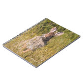 キュートで好奇心に満ちたイースタンコットンテールウサギ ノートブック (左側)