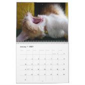 キュートで楽しい「Kitty Koolness」2024年 猫カレンダー カレンダー (1月 2027)