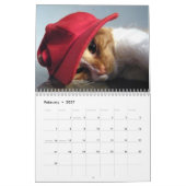 キュートで楽しい「Kitty Koolness」2024年 猫カレンダー カレンダー (2月 2027)