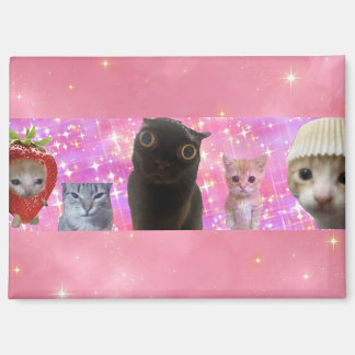 キュートで面白いエフェメラルなミームの子猫のスパークルマグネット マグネット