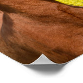 キュートなアイスランドの馬が春の牧草地でカドル – ポスター (角)