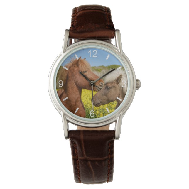 キュートなアイスランドの馬が春の牧草地でカドル –  腕時計 (正面)