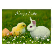 キュートなイースターバニー&シックと花 (正面横)