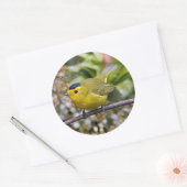 キュートなウィルソンのウォーブラーのソングバードのグレープヴィン ラウンドシール (封筒)