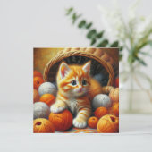 キュートなオレンジと白遊の子猫の糸 (スタンド正面)