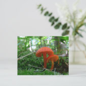 キュートなオレンジのキノコ ポストカード (スタンド正面)