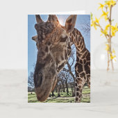 キュートなキリンが感想を書き留めるカード カード (黄色い花)