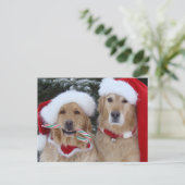 キュートなクリスマスゴールデンレトリバーのはがき シーズンポストカード (スタンド正面)