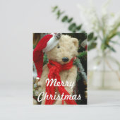 キュートなクリスマスベアーフォトポストカード シーズンポストカード (スタンド正面)