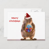 キュートなクリスマスリスとギフト シーズンポストカード (正面/裏面)