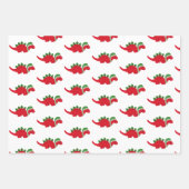 キュートなクリスマス恐竜 ラッピングペーパーシート (正面3)