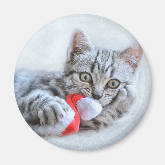 キュートなグレータブビーキャットとクリスマスハットクリスマス マグネット (正面)