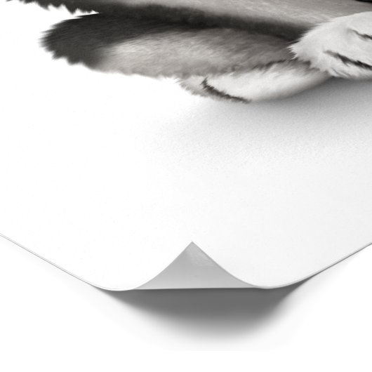 キュートなシベリアのハスキーの子犬の眼鏡を白く着て ポスター (角)