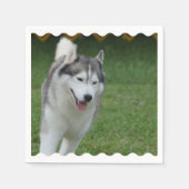 キュートなシベリアのハスキー スタンダードカクテルナプキン (正面)