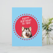 キュートなシベリアハスキーハッピーバースデーブルーレッド・ドット レターヘッド (スタンド正面)