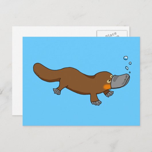 キュートなスイミングアヒルのハシジミ ポストカード (正面/裏面)