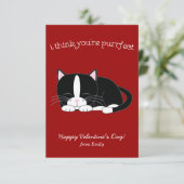 キュートなタキシード猫クラスルーム 招待状 (スタンド正面)