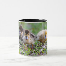 キュートなトリプレットムスコヴィランニングアヒルの子 マグカップ