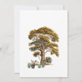 キュートなトロピカルジャングルサファリワイルドワン1歳の誕生日 招待状 (裏面)