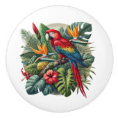 キュートなトロピカルビーチハウスオウム セラミックノブ (正面)