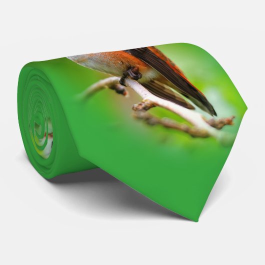 キュートなハミングバードオンプラムツリーブランチ ネクタイ (ロール)