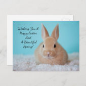 キュートなバニーイースター シーズンポストカード (正面/裏面)