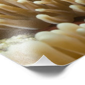 キュートなピエロ素晴らしがバリアリーフ フォトプリント (角)