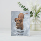 キュートなブラウンダシュントのバーキング機 ポストカード (スタンド正面)