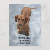 キュートなブラウンダシュントのバーキング機 ポストカード (正面)