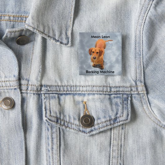 キュートなブラウンダシュントのバーキング機 缶バッジ (インサイチュ)