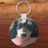 キュートなブラッククリームのダックスフント！ キーホルダー (正面)