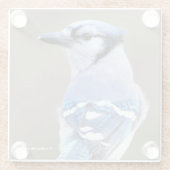 キュートなブルージェイSongbird onトレスタンプガラスコースター ガラスコースター (裏面)