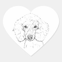 キュートなプードルのイラスト、手描き