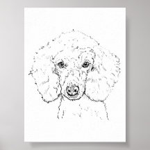 キュートなプードルのイラスト、手描き