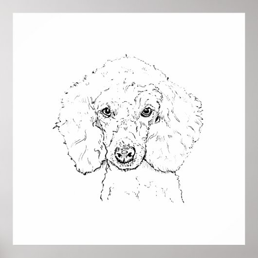 キュートなプードルのイラスト、手描き ポスター (正面)