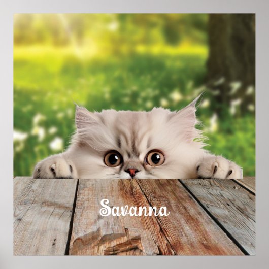 キュートなペルシャのののぞき猫 ポスター (正面)