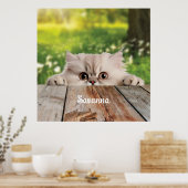 キュートなペルシャのののぞき猫 ポスター (キッチン)