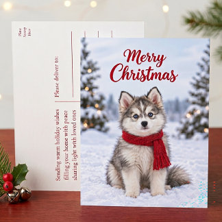 キュートなポンスキーの子犬 ハスキー犬好き メリークリスマス シーズンポストカード