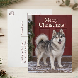 キュートなポンスキーの子犬 愛犬家 メリークリスマス シーズンポストカード