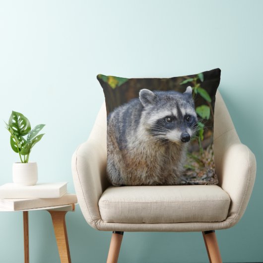 キュートなポーズをとる北米アライグマ クッション (椅子)