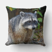 キュートなポーズをとる北米アライグマ クッション (正面)