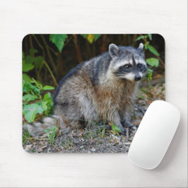 キュートなポーズをとる北米アライグマ マウスパッド