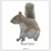 キュートなリス野生動物 シール (シート)