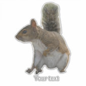 キュートなリス野生動物 シール (正面)