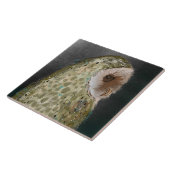 キュートなワイズフクロウセラミックキッチンタイル タイル (側面)