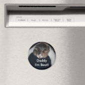 キュートな三毛猫の寝猫肩 マグネット (インサイチュ (食洗機))