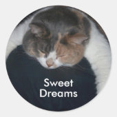 キュートな三毛猫の寝猫肩 ラウンドシール (正面)