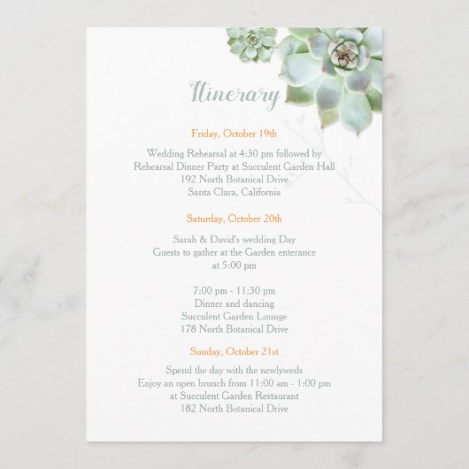 キュートな多肉食の庭園の結婚式日程 プログラム (裏面)